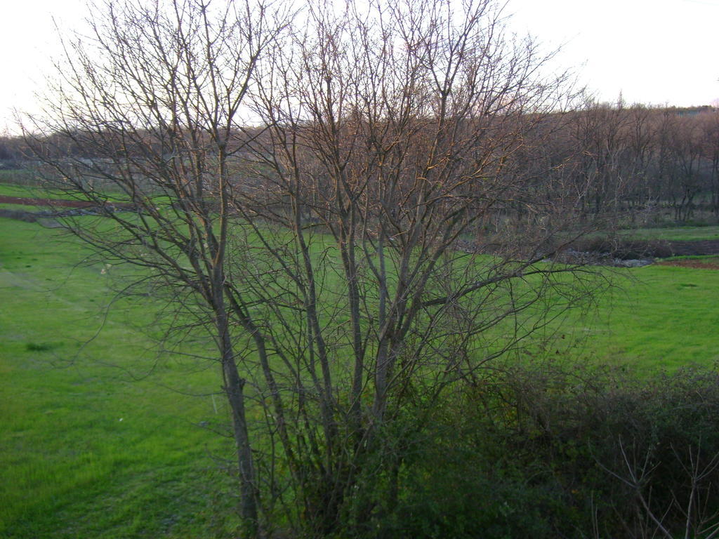 Gasthof Robi